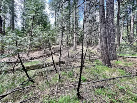 20080 Pine Dr, Volcano, CA 95689 photo 17