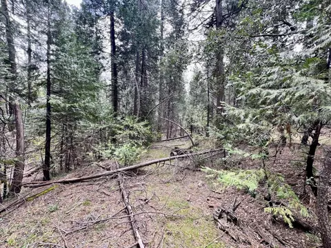 20080 Pine Dr, Volcano, CA 95689 photo 21