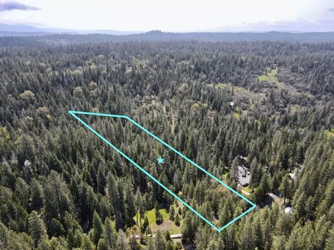 20080 Pine Dr, Volcano, CA 95689 photo 1