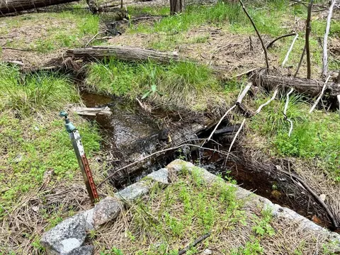 20080 Pine Dr, Volcano, CA 95689 photo 2