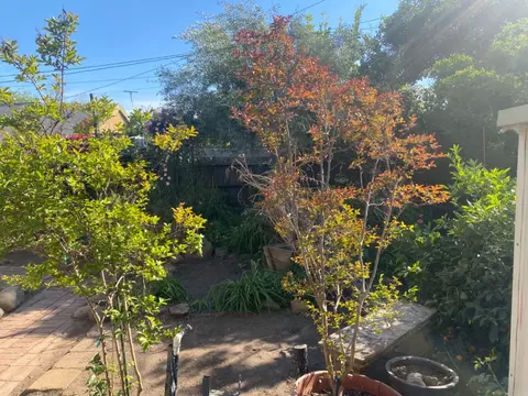 692 E 19th St, Merced, CA 95340 photo 30
