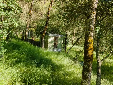 Exterior - 18985 Dotties Pl, Grass Valley, CA 95949 photo 3 of 3