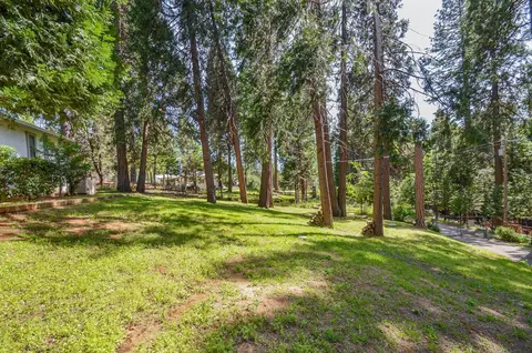 21965 Shake Ridge Rd, Volcano, CA 95689 photo 51