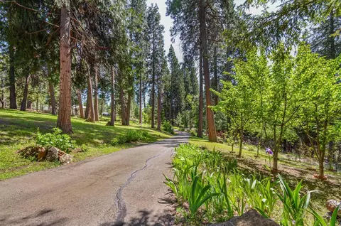 21965 Shake Ridge Rd, Volcano, CA 95689 photo 53