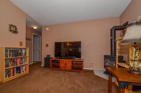 21965 Shake Ridge Rd, Volcano, CA 95689 photo 19