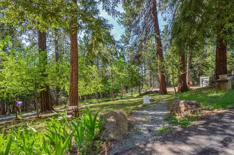 21965 Shake Ridge Rd, Volcano, CA 95689 photo 54