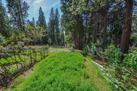 21965 Shake Ridge Rd, Volcano, CA 95689 photo 57