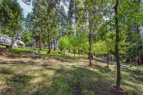 21965 Shake Ridge Rd, Volcano, CA 95689 photo 5