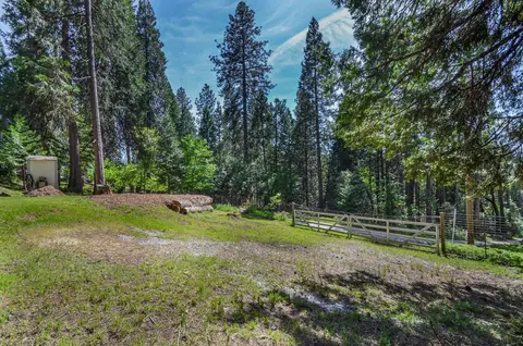21965 Shake Ridge Rd, Volcano, CA 95689 photo 4