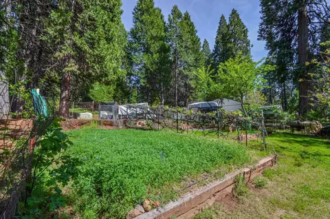 21965 Shake Ridge Rd, Volcano, CA 95689 photo 56
