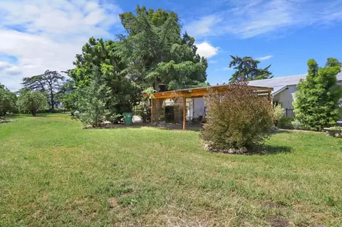 Exterior - 6791 E Live Oak Rd, Lodi, CA 95240 photo 12 of 23
