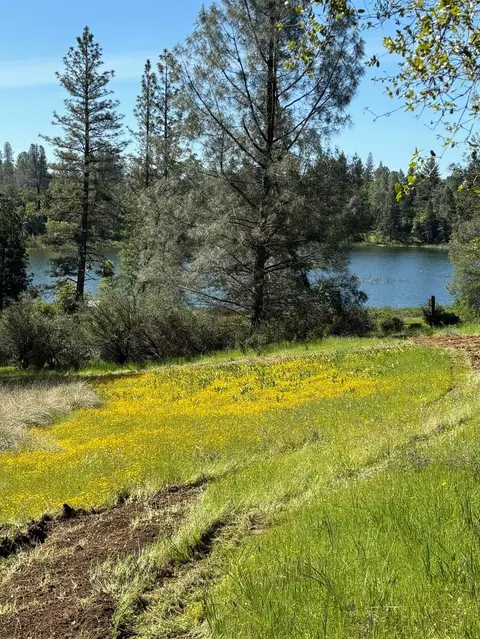 6360 Claim St, Placerville, CA 95667 photo 1