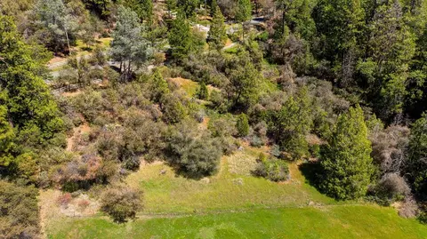 13096 Thoroughbred Loop, Grass Valley, CA 95949 photo 15
