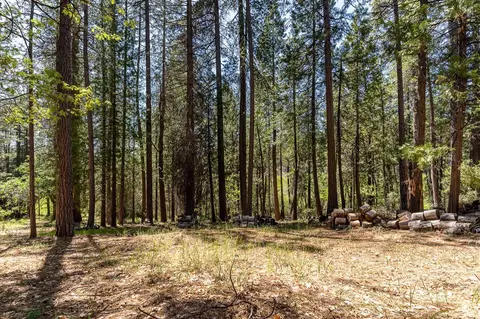 13096 Thoroughbred Loop, Grass Valley, CA 95949 photo 6