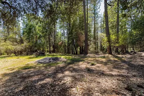 13096 Thoroughbred Loop, Grass Valley, CA 95949 photo 7
