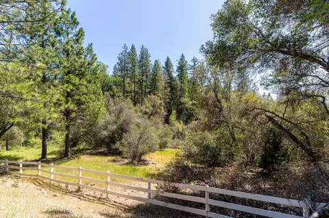 13096 Thoroughbred Loop, Grass Valley, CA 95949 photo 3