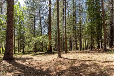 13096 Thoroughbred Loop, Grass Valley, CA 95949 photo 8