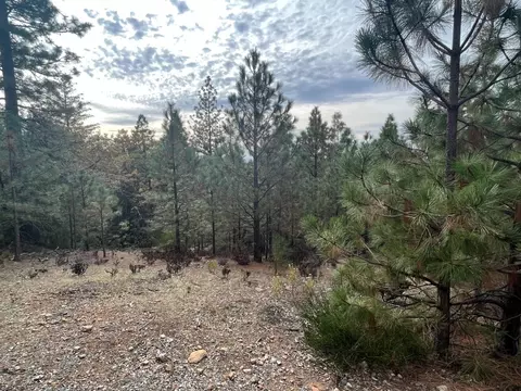 13851 Tank Ct, Pine Grove, CA 95665