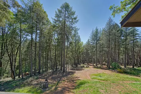 2870 Fox Run Rd, Georgetown, CA 95634 photo 46