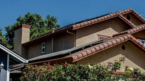 Exterior - 501 Abbey St, Winters, CA 95694 photo 21 of 21