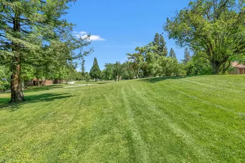 2080 Alta Loma St, Davis, CA 95616 photo 25