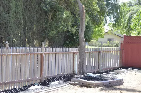 1458 E Timber Ln, Manteca, CA 95336 photo 30