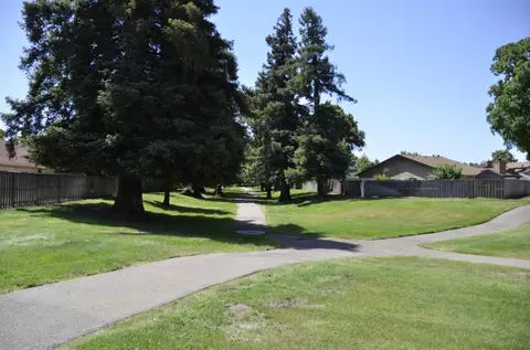1458 E Timber Ln, Manteca, CA 95336 photo 36