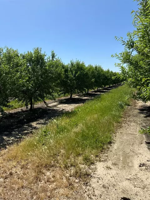 5521 Esmar Rd, Ceres, CA 95307 photo 1