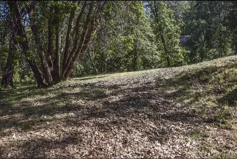 3224 Beam Ct, Georgetown, CA 95634 photo 24