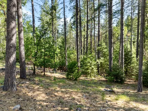 6324 Dickinson Rd, Placerville, CA 95667 photo 19