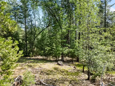 6324 Dickinson Rd, Placerville, CA 95667 photo 17