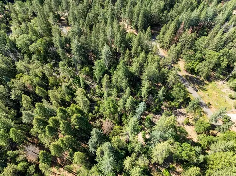 6324 Dickinson Rd, Placerville, CA 95667 photo 12