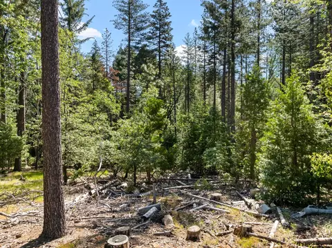 6324 Dickinson Rd, Placerville, CA 95667 photo 16