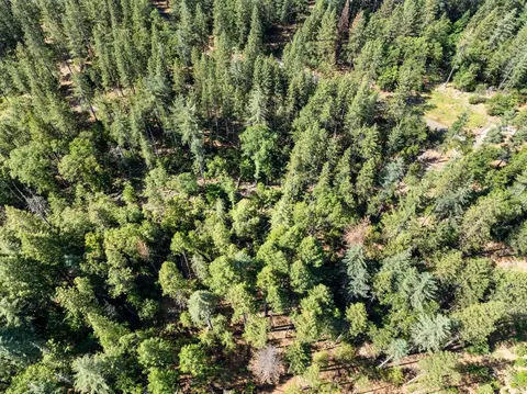 6324 Dickinson Rd, Placerville, CA 95667 photo 13