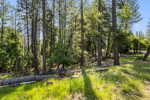 6324 Dickinson Rd, Placerville, CA 95667 photo 6