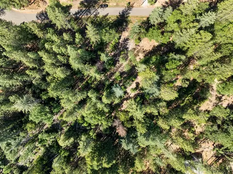 6324 Dickinson Rd, Placerville, CA 95667 photo 10