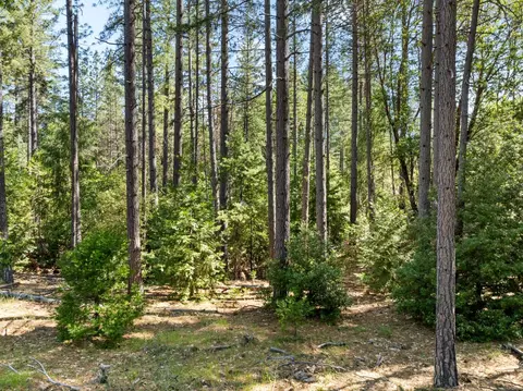 6324 Dickinson Rd, Placerville, CA 95667 photo 20