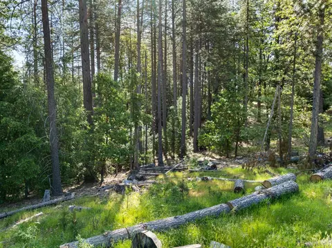 6324 Dickinson Rd, Placerville, CA 95667 photo 18