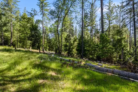 6324 Dickinson Rd, Placerville, CA 95667 photo 5