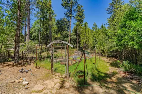 Exterior - 14950 Moonlight Rdg, Pine Grove, CA 95665 photo 17 of 22