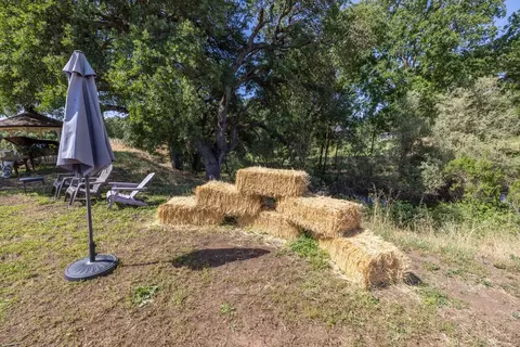 9050 Tavernor Rd, Wilton, CA 95693 photo 55