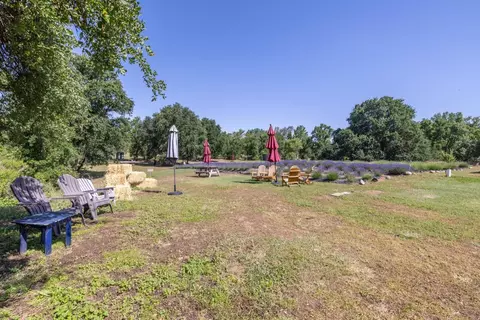 9050 Tavernor Rd, Wilton, CA 95693 photo 54