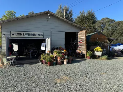 9050 Tavernor Rd, Wilton, CA 95693 photo 79