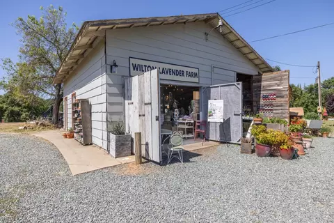 9050 Tavernor Rd, Wilton, CA 95693 photo 69