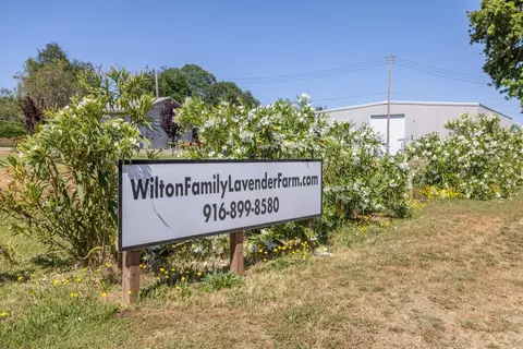 9050 Tavernor Rd, Wilton, CA 95693 photo 24