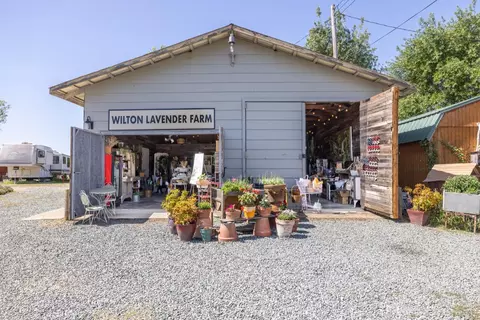 9050 Tavernor Rd, Wilton, CA 95693 photo 71
