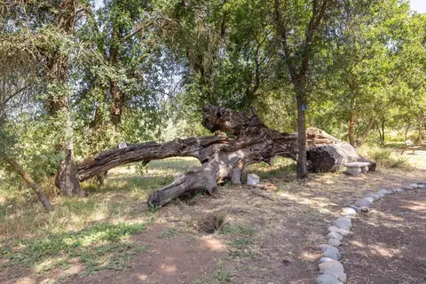 9050 Tavernor Rd, Wilton, CA 95693 photo 60
