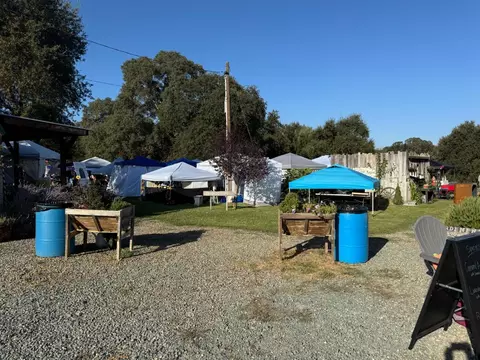 9050 Tavernor Rd, Wilton, CA 95693 photo 82