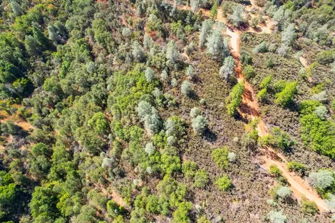 2101 Trail Gulch Rd, Placerville, CA 95667 photo 23
