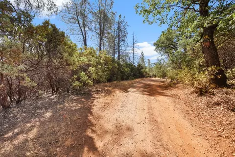 2101 Trail Gulch Rd, Placerville, CA 95667 photo 33